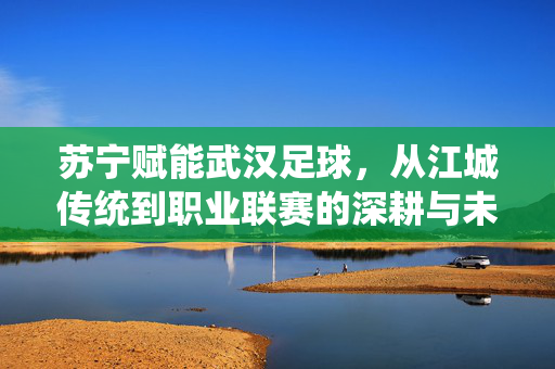 苏宁赋能武汉足球，从江城传统到职业联赛的深耕与未来
