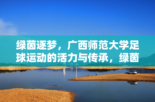 绿茵逐梦，广西师范大学足球运动的活力与传承，绿茵逐梦，广西师范大学足球运动的活力与传承
