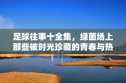 足球往事十全集，绿茵场上那些被时光珍藏的青春与热血