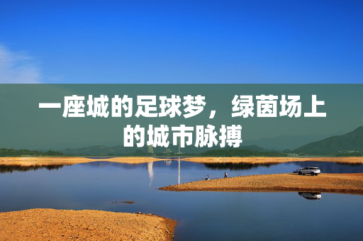 一座城的足球梦，绿茵场上的城市脉搏