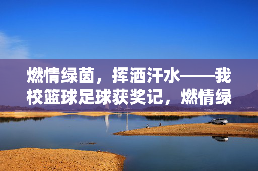 燃情绿茵，挥洒汗水——我校篮球足球获奖记，燃情绿茵，挥洒汗水——我校篮球足球获奖记