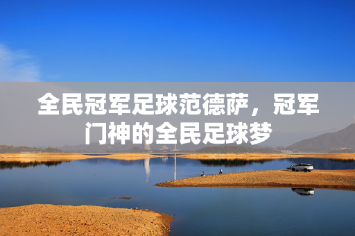 全民冠军足球范德萨，冠军门神的全民足球梦