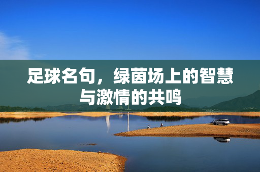 足球名句，绿茵场上的智慧与激情的共鸣