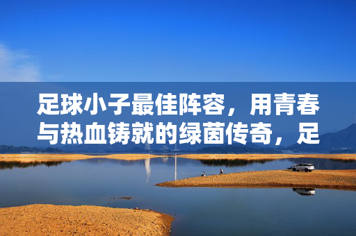 足球小子最佳阵容，用青春与热血铸就的绿茵传奇，足球小子最佳阵容，用青春与热血铸就的绿茵传奇