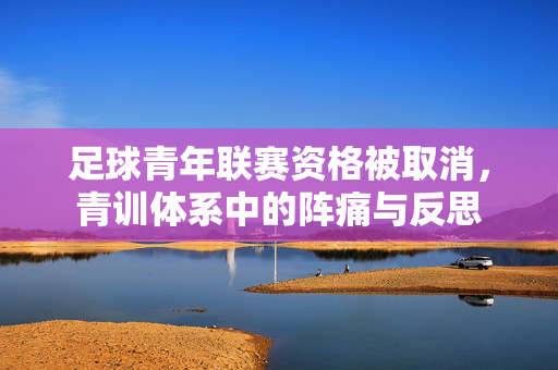 足球青年联赛资格被取消,青训体系中的阵痛与反思