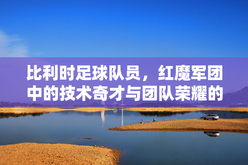 比利时足球队员,红魔军团中的技术奇才与团队荣耀的象征