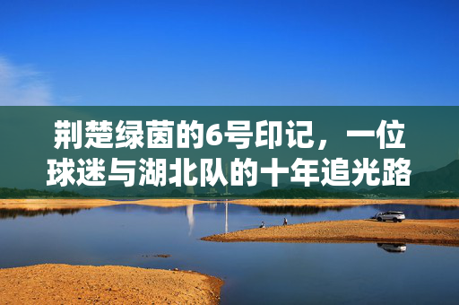 荆楚绿茵的6号印记，一位球迷与湖北队的十年追光路