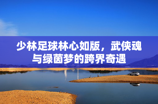 少林足球林心如版，武侠魂与绿茵梦的跨界奇遇
