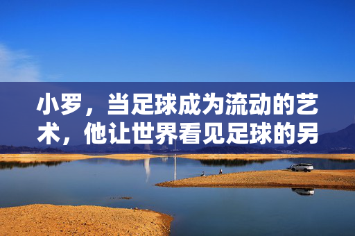小罗，当足球成为流动的艺术，他让世界看见足球的另一种美，小罗，当足球成为流动的艺术，他让世界看见另一种美