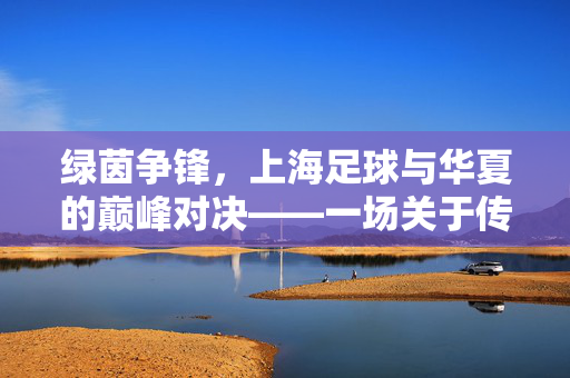 绿茵争锋，上海足球与华夏的巅峰对决——一场关于传承与梦想的碰撞