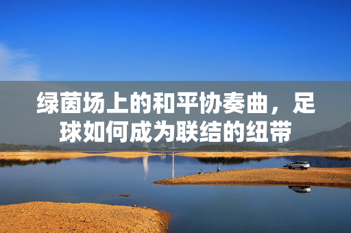 绿茵场上的和平协奏曲，足球如何成为联结的纽带