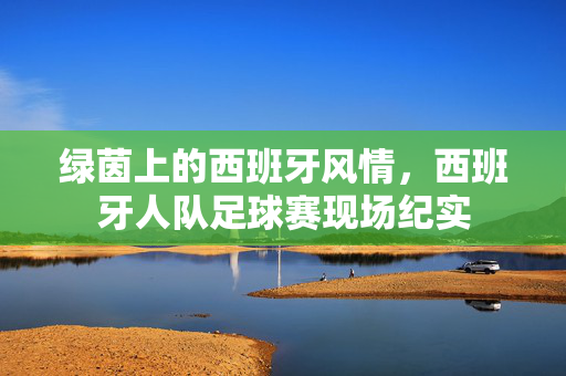 绿茵上的西班牙风情,西班牙人队足球赛现场纪实