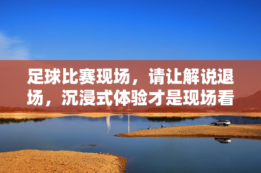 足球比赛现场,请让解说退场,沉浸式体验才是现场看球的灵魂,足球现场,让解说退场,沉浸式体验才是看球的灵魂