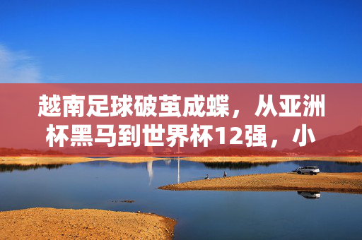越南足球破茧成蝶,从亚洲杯黑马到世界杯12强,小国足球的逆袭之路