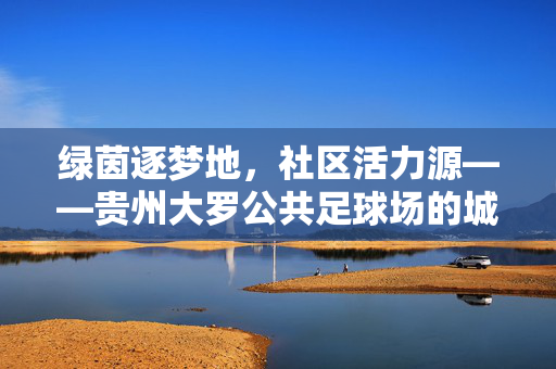 绿茵逐梦地，社区活力源——贵州大罗公共足球场的城市新名片，绿茵逐梦地，社区活力源——贵州大罗公共足球场的城市新名片