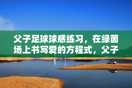 父子足球球感练习，在绿茵场上书写爱的方程式，父子足球球感练习，在绿茵场上书写爱的方程式