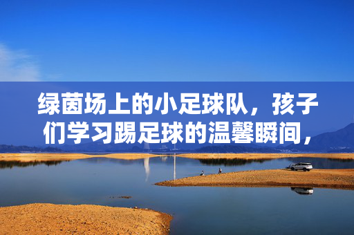绿茵场上的小足球队，孩子们学习踢足球的温馨瞬间，绿茵场上小足球队，孩子们学踢足球的温馨瞬间