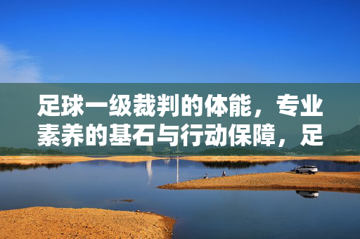 足球一级裁判的体能，专业素养的基石与行动保障，足球一级裁判的体能，专业素养的基石与行动保障