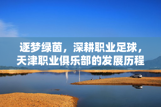 逐梦绿茵,深耕职业足球,天津职业俱乐部的发展历程与时代新篇,逐梦绿茵,深耕职业足球,天津职业俱乐部的发展历程与时代新篇