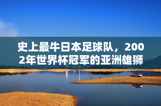 史上最牛日本足球队,2002年世界杯冠军的亚洲雄狮传奇,2002年世界杯冠军,日本足球队与亚洲雄狮的传奇