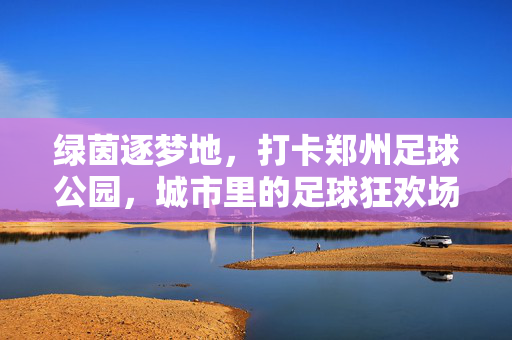 绿茵逐梦地，打卡郑州足球公园，城市里的足球狂欢场，绿茵逐梦地，打卡郑州足球公园，城市里的足球狂欢场