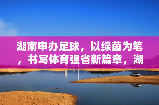 湖南申办足球，以绿茵为笔，书写体育强省新篇章，湖南申办足球，以绿茵为笔，书写体育强省新篇章