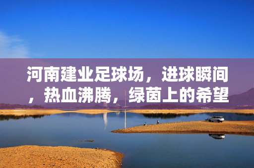 河南建业足球场，进球瞬间，热血沸腾，绿茵上的希望之光，河南建业足球场进球瞬间，热血沸腾，绿茵上的希望之光