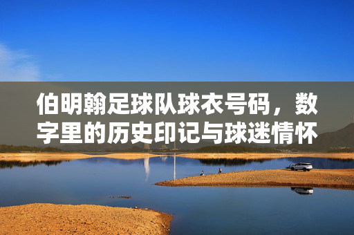 伯明翰足球队球衣号码，数字里的历史印记与球迷情怀，伯明翰足球队球衣号码，数字里的历史印记与球迷情怀