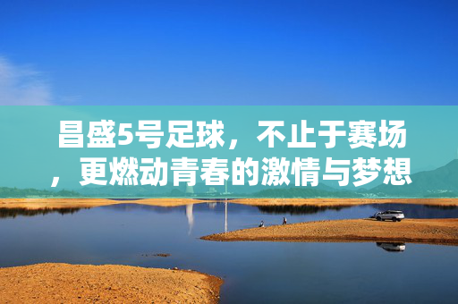 昌盛5号足球，不止于赛场，更燃动青春的激情与梦想，昌盛5号足球，不止于赛场，更燃动青春的激情与梦想
