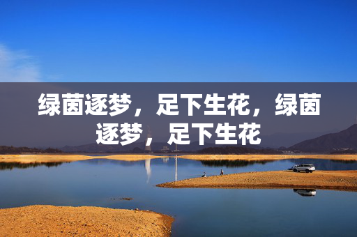 绿茵逐梦，足下生花，绿茵逐梦，足下生花
