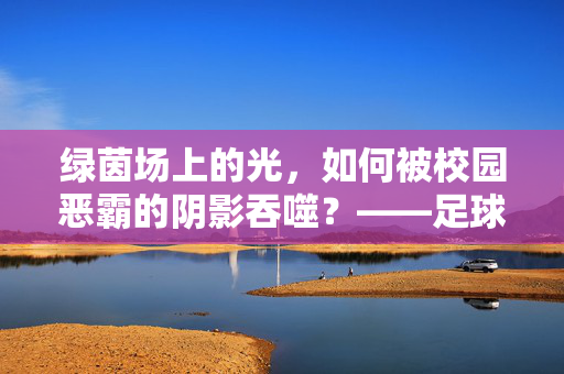 绿茵场上的光，如何被校园恶霸的阴影吞噬？——足球校草的反击与成长，绿茵场上的光，如何被校园恶霸的阴影吞噬？——足球校草的反击与成长