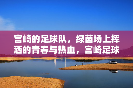 宫崎的足球队，绿茵场上挥洒的青春与热血，宫崎足球队，绿茵场上挥洒的青春与热血