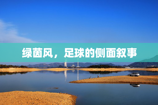 绿茵风，足球的侧面叙事
