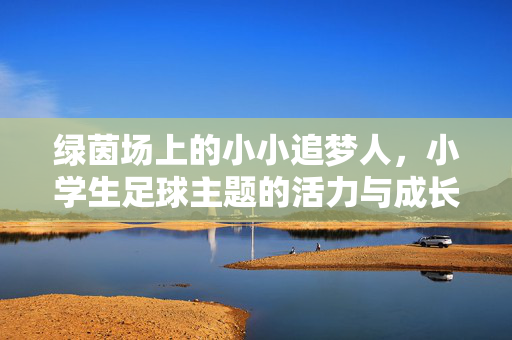 绿茵场上的小小追梦人，小学生足球主题的活力与成长