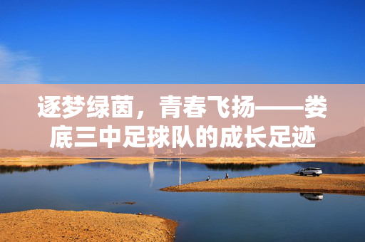 逐梦绿茵，青春飞扬——娄底三中足球队的成长足迹