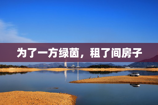 为了一方绿茵，租了间房子