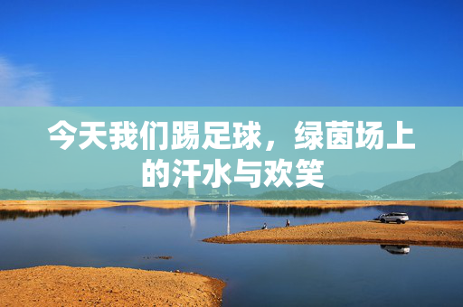 今天我们踢足球，绿茵场上的汗水与欢笑