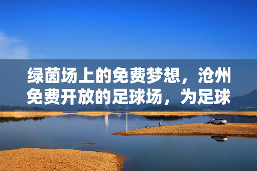 绿茵场上的免费梦想，沧州免费开放的足球场，为足球爱好者点亮运动新空间，沧州免费足球场，为足球爱好者的运动新空间点亮梦想