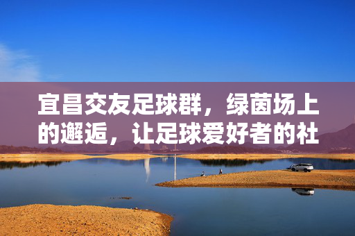 宜昌交友足球群，绿茵场上的邂逅，让足球爱好者的社交更精彩