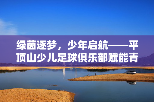 绿茵逐梦，少年启航——平顶山少儿足球俱乐部赋能青少年足球发展