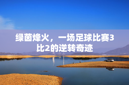 绿茵烽火，一场足球比赛3比2的逆转奇迹