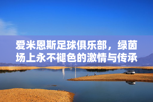 爱米恩斯足球俱乐部，绿茵场上永不褪色的激情与传承，爱米恩斯足球俱乐部，绿茵场上永不褪色的激情与传承