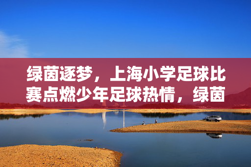 绿茵逐梦，上海小学足球比赛点燃少年足球热情，绿茵逐梦，上海小学足球比赛点燃少年足球热情