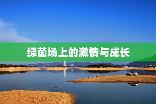 绿茵场上的激情与成长