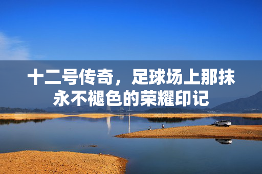 十二号传奇，足球场上那抹永不褪色的荣耀印记