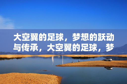 大空翼的足球，梦想的跃动与传承，大空翼的足球，梦想的跃动与传承