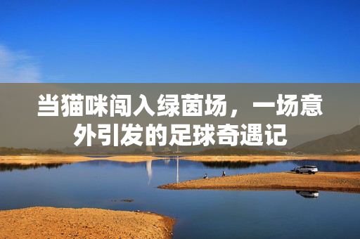 当猫咪闯入绿茵场，一场意外引发的足球奇遇记