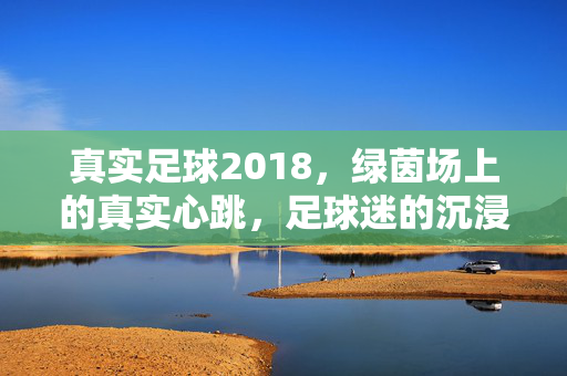 真实足球2018，绿茵场上的真实心跳，足球迷的沉浸式体验之旅，真实足球2018，绿茵场上的真实心跳与足球迷沉浸式体验之旅