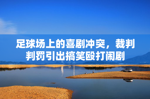 足球场上的喜剧冲突，裁判判罚引出搞笑殴打闹剧