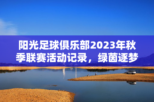 阳光足球俱乐部2023年秋季联赛活动记录，绿茵逐梦，团队共进